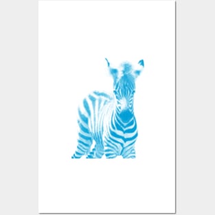 Zebra 02 Posters and Art